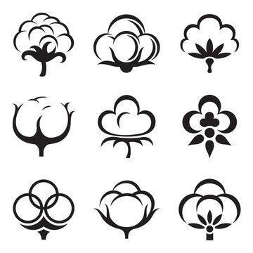 Icon set of cotton plant fluffy boll flower