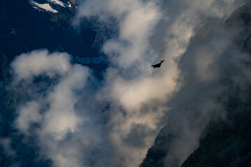 Dassault Rafale in Schweizer Bergen Swisss mountains 