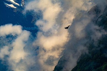 Dassault Rafale in Schweizer Bergen Swisss mountains 