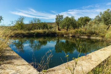 water reservoir for irrigation of trees