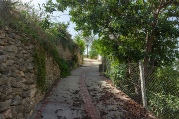 street with trees and stone wall