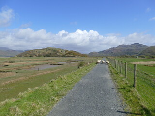 Fototapeta na wymiar Tarmac footpath crossing a grassy marshy plain with mountains and blue sky in the background near Fairbourne Barmouth Wales