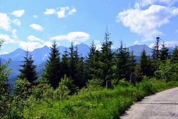 A mountain green trail to the Rusinowa glade (Rusinowa Polana) on Tatra mountains, Poland © PaulSat