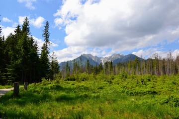 A mountain view with mountain peaks seen from the green trail to the Rusinowa glade (Rusinowa Polana) on Tatra mountains, Poland © PaulSat
