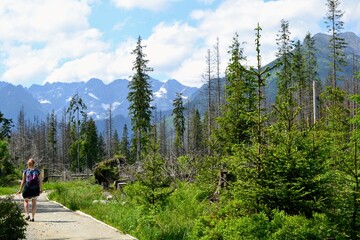 An unidentified woman hiking through the mountain green trail to the Rusinowa Glade (Rusinowa Polana) on Tatra mountains, Poland © PaulSat
