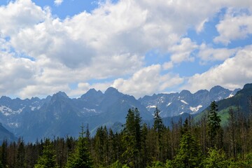 A mountain view with mountain peaks seen from the green trail to the Rusinowa glade (Rusinowa Polana) on Tatra mountains, Poland