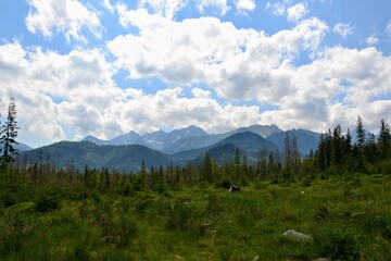 A mountain view with mountain peaks seen from the green trail to the Rusinowa glade (Rusinowa Polana) on Tatra mountains, Poland © PaulSat