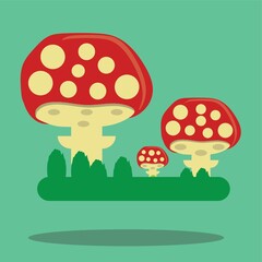 mushrooms