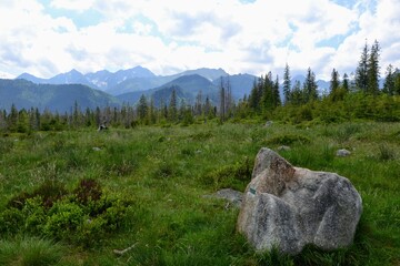 View from the mountain green trail to the Rusinowa glade (Rusinowa Polana) on Tatra mountains, Poland. View with mountain peaks and huge stone with green trail sign © PaulSat
