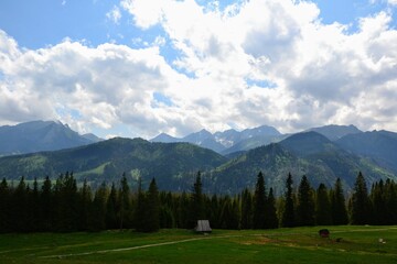 Fototapeta na wymiar Tatra Mountains - Rusinowa Polana (Rusinowa Glade), Tatra National Park, Poland