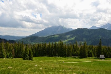 Tatra Mountains - Rusinowa Polana (Rusinowa Glade), Tatra National Park, Poland © PaulSat