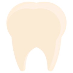 tooth