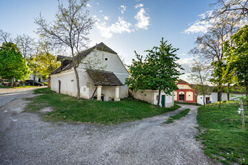 Wineyards in Lower Austria