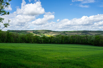 Fields in Lower Austria in spring