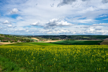 Fields in Lower Austria in spring