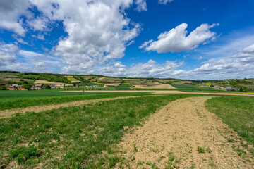 Fields in Lower Austria in spring