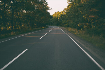 The empty asphalt road in the forest in the evening
