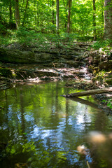 Obraz premium Idyllic forest stream with waterfall and reflected sky and foliage. Full frame photo in natural dappled sunlight with copy space.