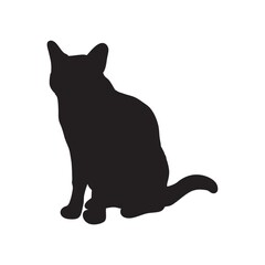 silhouette of a cat