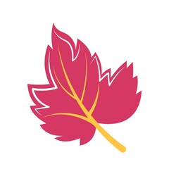 maple leaf