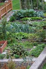 Details of a vegetable garden in Bavaria