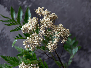 close-up flower lying on the table, new
