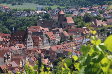 BESIGHEIM / GERMANY /Baden Württemberg, a region in Germany, Baden-Württemberg, where wine is grown