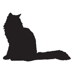 silhouette of a cat