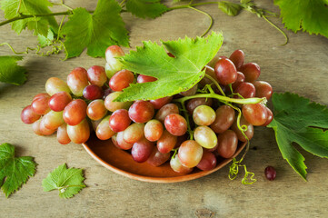 Ripe bunch of grapes with leaves on a ceramic plate. An elite variety of multi-colored grapes....