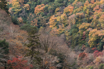 autumn in the mountains