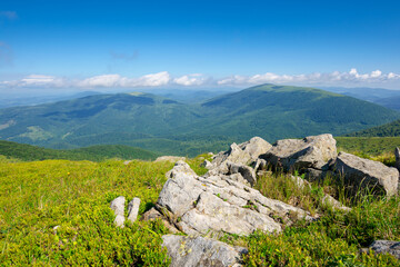 mountain meadow in summer landscape. blue sky with fluffy clouds. beautiful summer scenery on a...