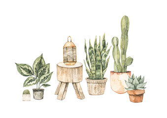 Watercolor illustration of modern interior with home plants on pots and wooden table. Tropical vibe. Cactus, succulent Home decor pre-made composition. Perfect for posters, prints, magazine, cards .