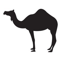 silhouette of camel