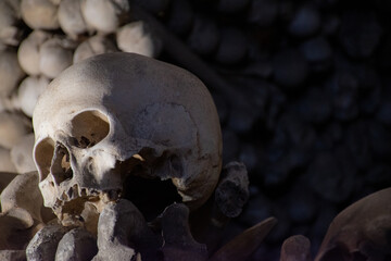 Skull in ossuary Kostnice - obrazy, fototapety, plakaty