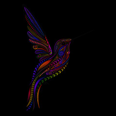 Original color vector Hummingbird in zentangle style on a black background