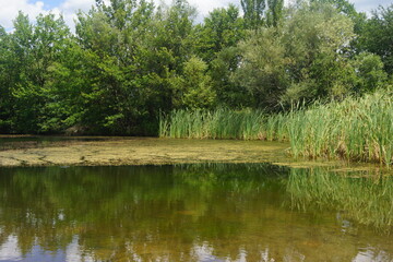Summer landscape in the mountainous part of the Crimean peninsula
