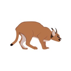 Caracal Illustration