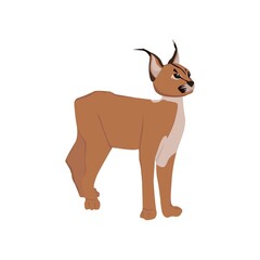 Caracal Illustration