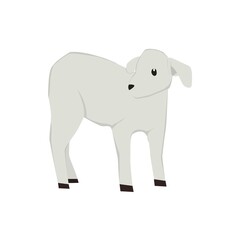 Goats Illustration