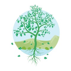 tree with fallen leaves