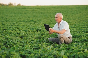 Naklejka na ściany i meble farmer in filed holding tablet in his hands and examining soybean corp.