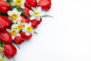 Narcissusess and red tulips on white background. Place for text.