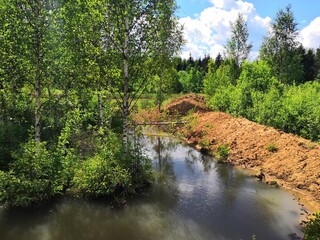 Fototapeta premium river in the woods
