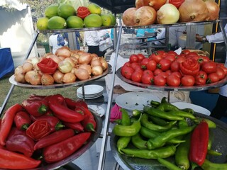 Fototapeta na wymiar barbecue adana kebab, pepper, tomato and onions
