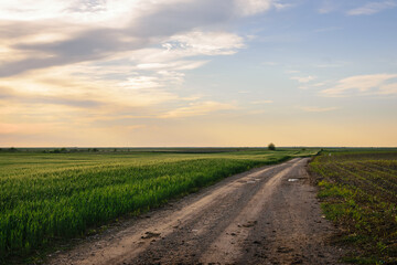 Sunset in countryside landscape.
