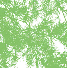 Green abstract, grunge texture, pine needles, transparent background. Backdrop for overlay, montage or shading. Lines, grain, scratches and spots. Abstract vector illustration. Easy to recolor.