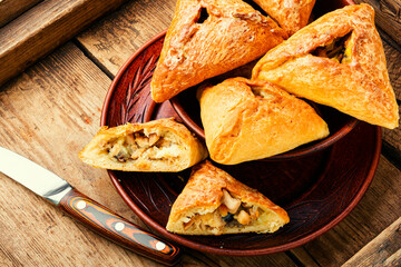 Homemade chicken and mushroom pie © nikolaydonetsk