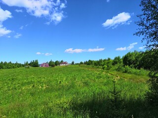 green field and blue sky