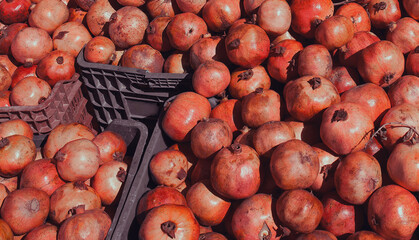 Background of red pomegranates on the market
