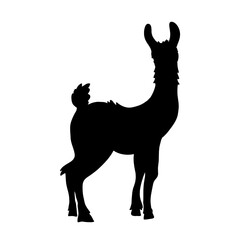 Peruvian llama silhouette vector illustration. South America animal black sign © Olga